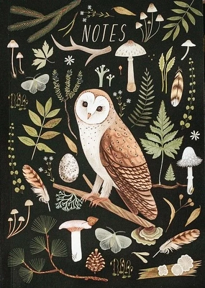 Блокнот «Сипуха», А5, 42 листа, чёрный, фото 1.