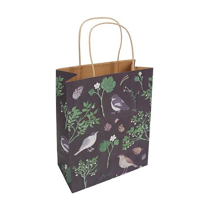 Крафт-пакет «Птицы весенние», фото 1.