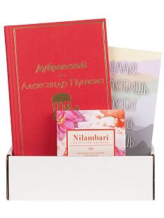 Подарочный набор с книгой «Дубровский» и шоколадом