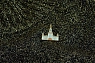 Металлический значок Heart of Moscow «Высотка МГУ» серия Москва, превью фото 2