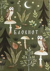 Блокнот «Совы на грибах», А5, 42 листа, зелёный