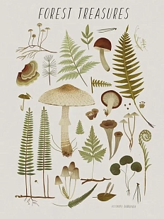 Открытка «Лесные сокровища», светлая, Дворникова Александра
