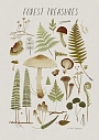 Открытка «Лесные сокровища», светлая, Дворникова Александра, превью фото 1