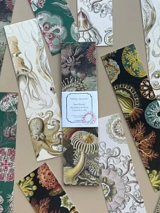 Набор закладок «Kunstformen der natur», 5 шт