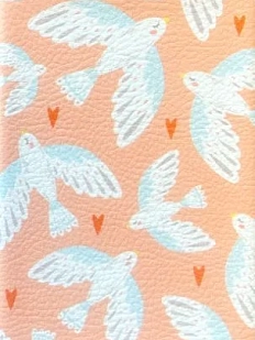 Обложка на паспорт «Птички»