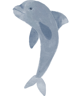 3D Стикер на телефон «Дельфин», объёмный, 3 см