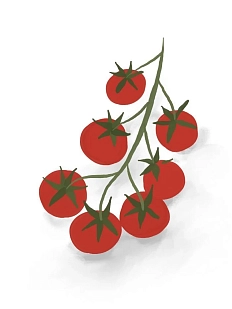 Постер интерьерный DARI DARI «Томаты черри», А4
