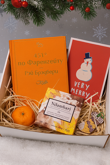 Подарочный набор на Новый год с книгой «451 по Фаренгейту», ёлочной игрушкой и шоколадом, фото 1.