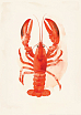 Постер интерьерный «Лобстер», А4, превью фото 1