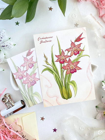 Открытка «Орхидея Беаллара», А6, фото 1.