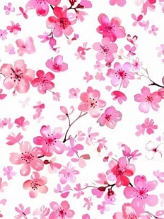 Картхолдер двойной DARI DARI «Сакура», экокожа