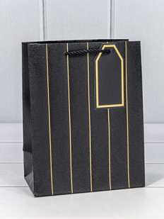 Пакет подарочный «Полосы», 18х23 см