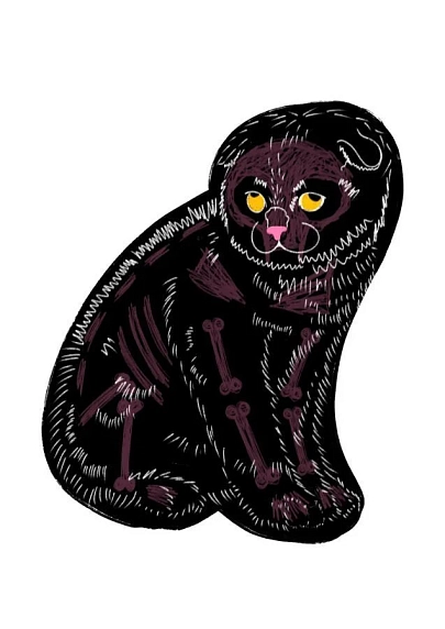 Постер интерьерный Pablo Radini «Котик», А4, фото 1.