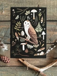 Мини-постер «Сова сипуха», тёмная, Дворникова Александра