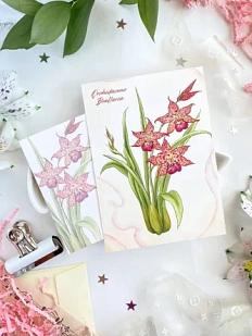 Открытка Лавкот «Орхидея Беаллара», А6