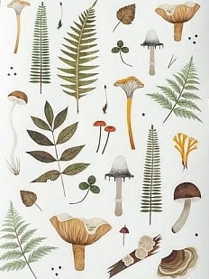 Стикерпак «Папоротники и грибы»