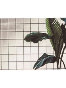 Наклейка на карту «Зелёный цветок»