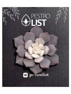 Брошь ручной работы «Суккулент», тёмно-розовая, полимерная глина