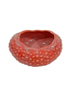 Соусник морской ёж ручной работы VELES «Рассвет над Имладрис», фарфор, 150 мл