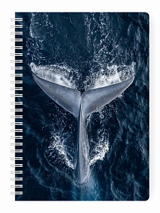 Блокнот в точку Creative «Кит»