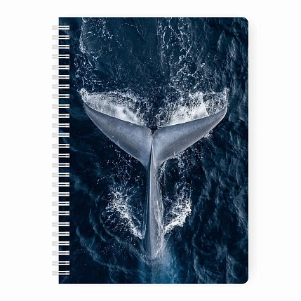 Блокнот в точку Creative «Кит», фото 1.