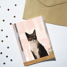 Открытка DARI DARI «Черно-белый котик», А6, превью фото 2