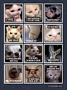 Набор стикерпаков 3 шт: «Smoking kills №2», «Wtf?», «Animals», превью фото 3