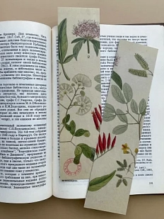 Закладка «Травы с красным» № 3