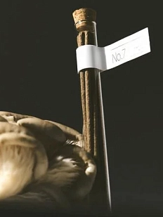 Благовония Гипноз в колбе «Композиция No.7»