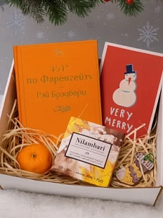 Подарочный набор на Новый год с книгой «451 по Фаренгейту», ёлочной игрушкой и шоколадом