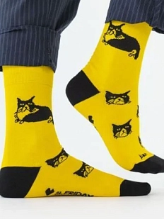 Носки «Кот средних лет», р-р 38-41, жёлтые