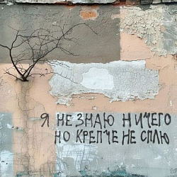Открытка «Я не знаю ничего»