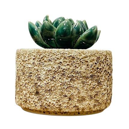 Шкатулка «Суккуленты №2», 7 см, керамика, фото 3.