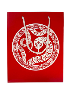 Пакет подарочный «Магическая змея»