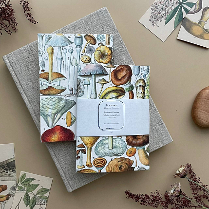 Блокнот «Грибы», А6, фото 1.