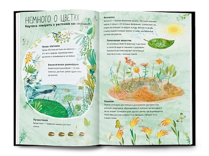 Большая книга цветов, фото 4.