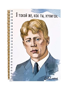 Тетрадь «Я такой же, как ты, хулиган»