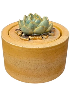 Шкатулка «Суккуленты №5», 7 см, керамика