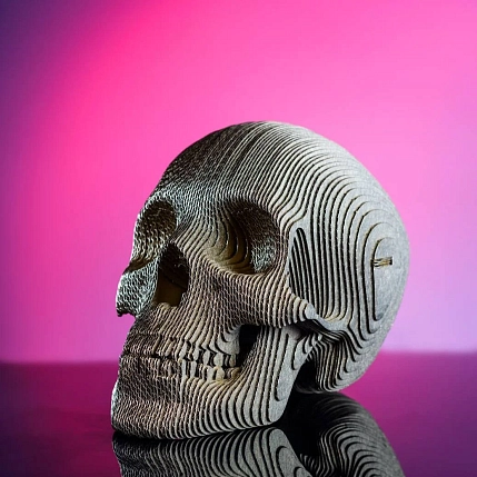 Картонный конструктор 3D «Роджер», фото 7.