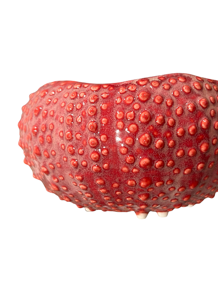 Глубокая тарелка морской ёж ручной работы VELES «Поцелуй Арвен », фарфор, 750 мл, фото 3.