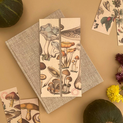 Набор закладок «Pflanzenkunde», 5 шт, фото 1.