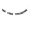 Гирлянда «ТАК СЕБЕ ПРАЗДНИК», превью фото 1