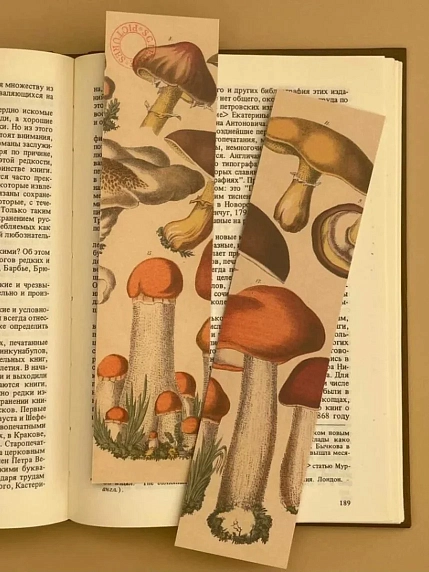 Закладка «Грибы» №4, фото 1.