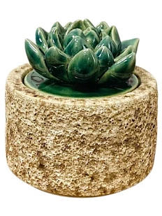 Шкатулка «Суккуленты №2», 7 см, керамика
