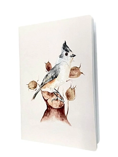 Тетрадь Наталья Филипович «Синица королевская», А5, 40 листов