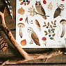 Стикерпак «Совы в осеннем лесу», превью фото 2