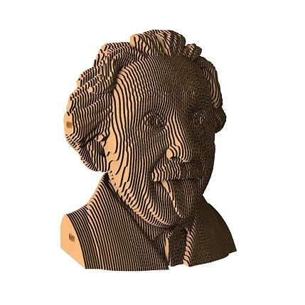Картонный конструктор 3D «Эйнштейн», фото 1.