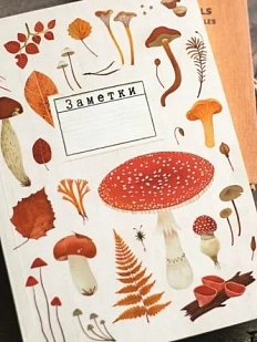 Блокнот «Мухомор», А5, 42 листа, кремовый