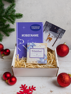 Подарочный набор на Новый год с книгой «Избегание» и шоколадом