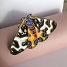 Брошь ручной работы «Тигровый мотылёк», Partala ceramics, превью фото 2